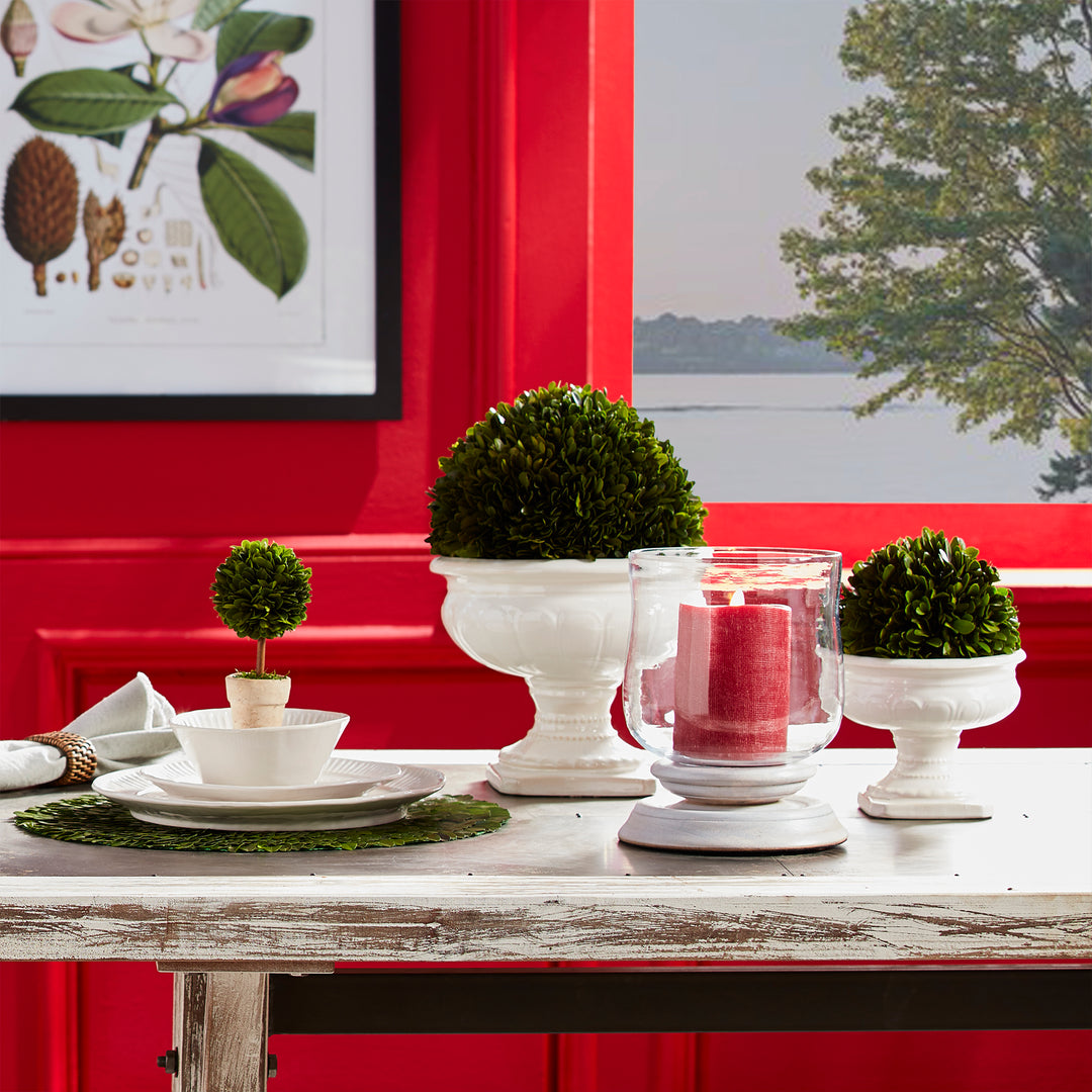 Preserved green boxwood balls in white pedestal vessels on a table with a candle, against a bright red wall - Transitional