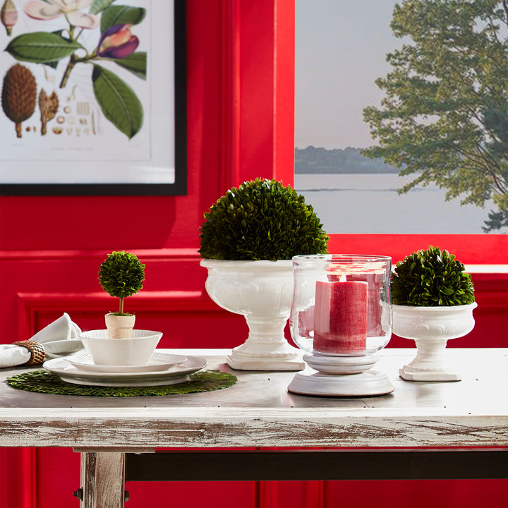 Preserved green boxwood balls in white pedestal vessels on a table with a candle, against a bright red wall - Transitional