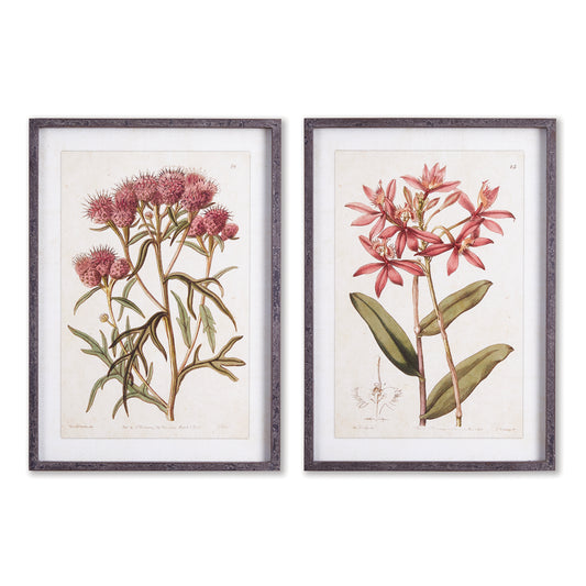 This pair of pink vintage floral prints celebrates the feminine nature of these delicate flowers. A soft, traditional look for bedroom, bathroom or lounge.