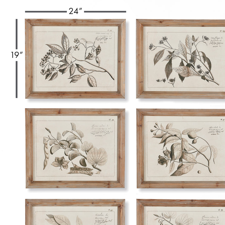 In a subtle contrast of whitewash wood and black illustrations, this is a handsome set. With a focus on fruit bearing branches, it is fitting for dining room, kitchen or even study.