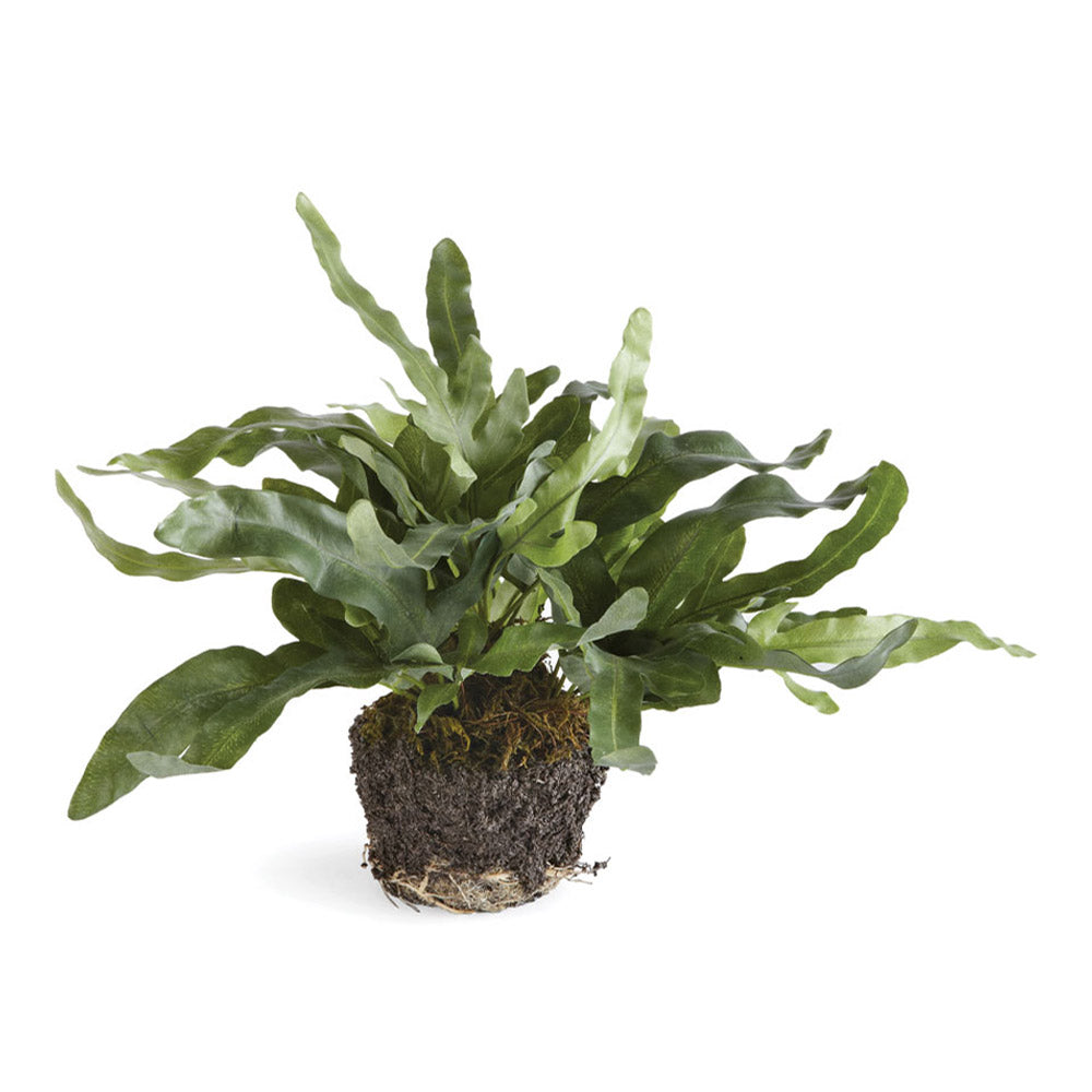 100% realistic- a perfect copy of your favorite ferns. These drop-ins are a no-hassle work of art. Right down to the carefully crafted root ball, just as nature designed.