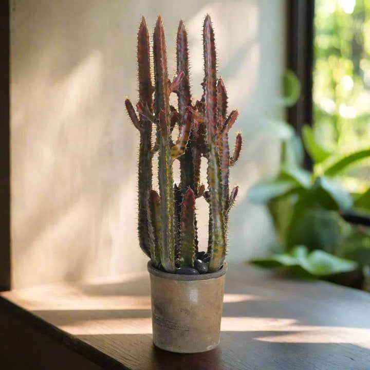 Tall faux desert cactus with reddish spines in weathered brown pot on a wooden windowsill – Desert Modern
