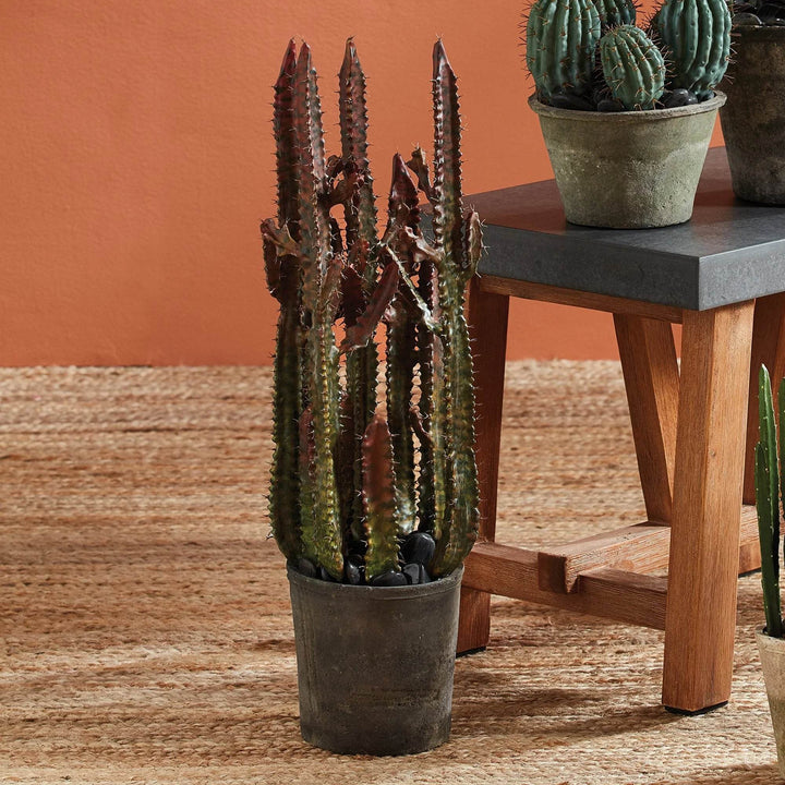 Faux desert cactus displayed next to rustic table and other succulents on woven jute rug – Desert Modern

