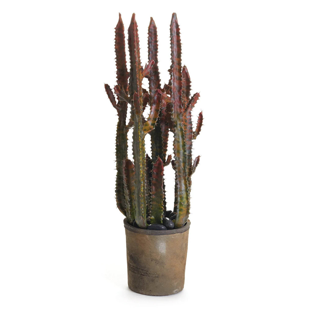 27-inch faux cactus plant in aged ceramic pot with pebble base against white background – Desert Modern
