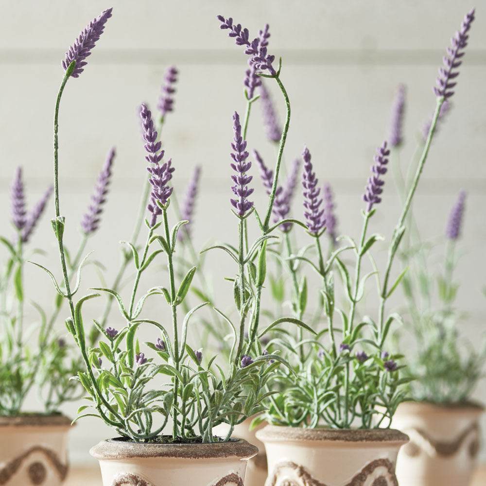 Faux French lavender drop-ins styled in ivory ceramic pots on a rustic wood surface – French Country.

