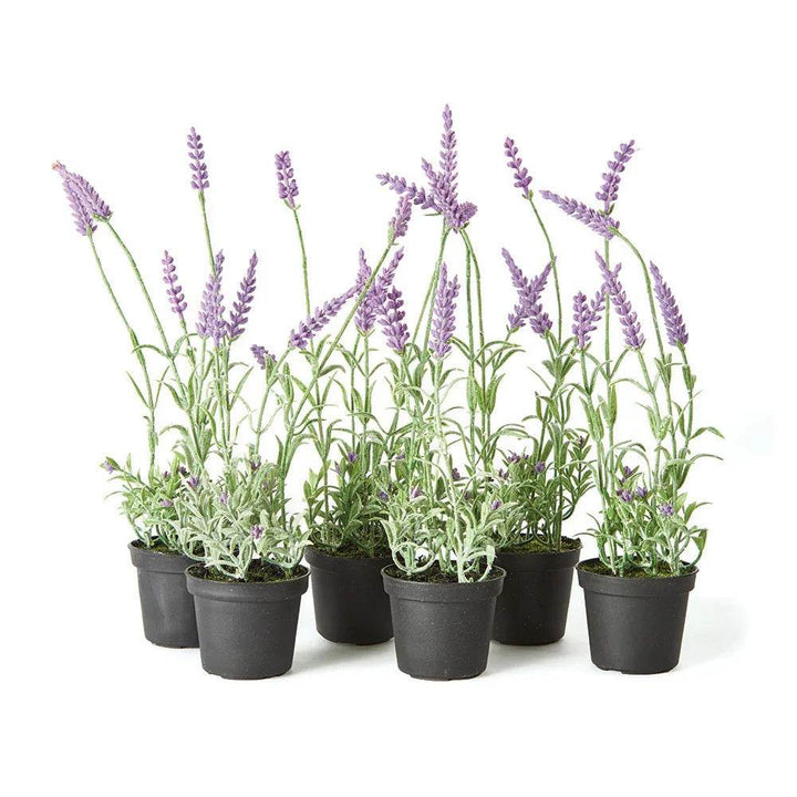 Set of six faux French lavender drop-ins in black growers pots, shown on white background – French Country.

