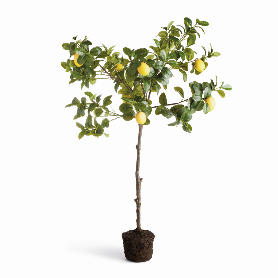 Tall faux lemon tree drop-in with layered citrus branches and realistic foliage for indoor botanical decor – Mediterranean style.