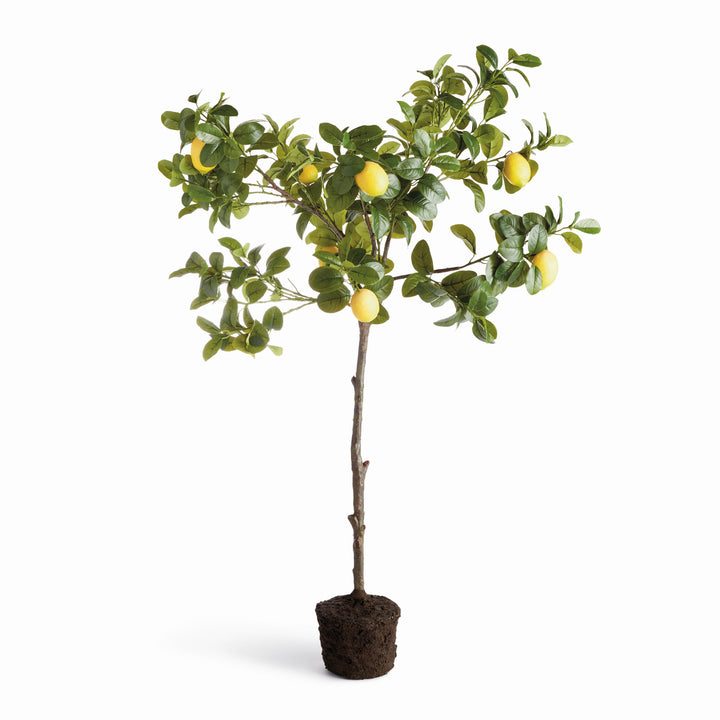 Tall faux lemon tree drop-in with layered citrus branches and realistic foliage for indoor botanical decor – Mediterranean style.