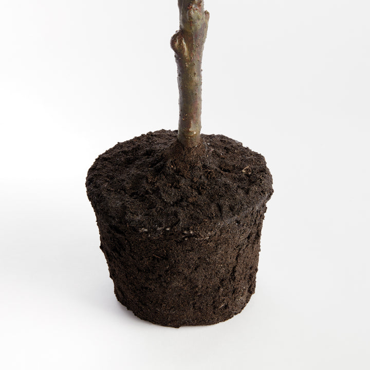 Faux lemon tree root ball detail designed for easy placement inside decorative planters and cachepots – Transitional style.