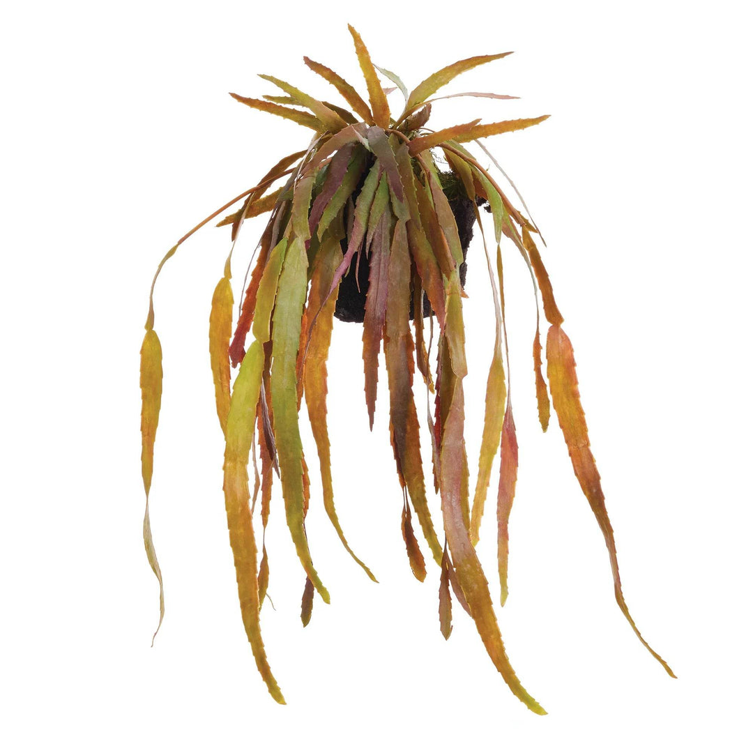 Faux rhipsalis drop-in plant with trailing brown and green foliage and realistic root ball, 23 inch length for planters or shelves – Modern Organic.

