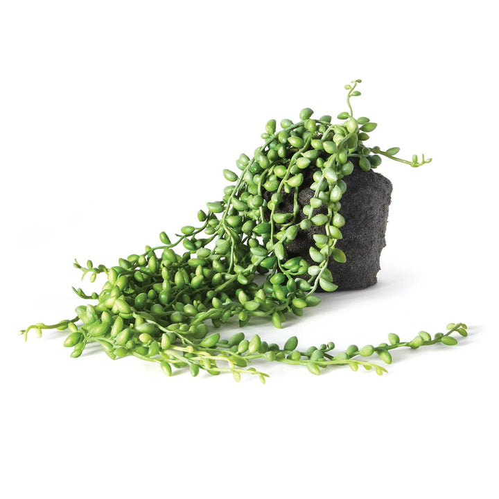 Faux string of pearls drop-in plant with 26 inch trailing green vines and soil-textured base, styled for modern organic decor – Modern Organic.

