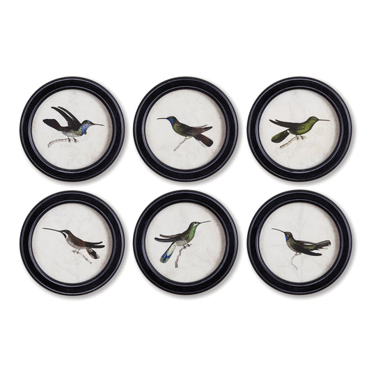 These little Hummingbird Round Framed Prints are an unexpected way to outfit your walls. Illustrated with loving detail, each one more beautiful than the next, they make a charming arrangement on the wall.