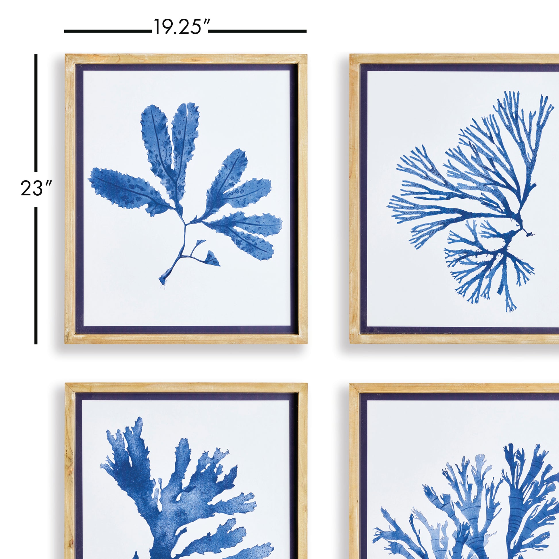 These signature upscale coastal chic prints showcase both elegance and scale. With a soft, watercolor design and whitewashed natural wood frames with indigo trim, these monochromatic seaweed prints add sophistication to any room in your home.