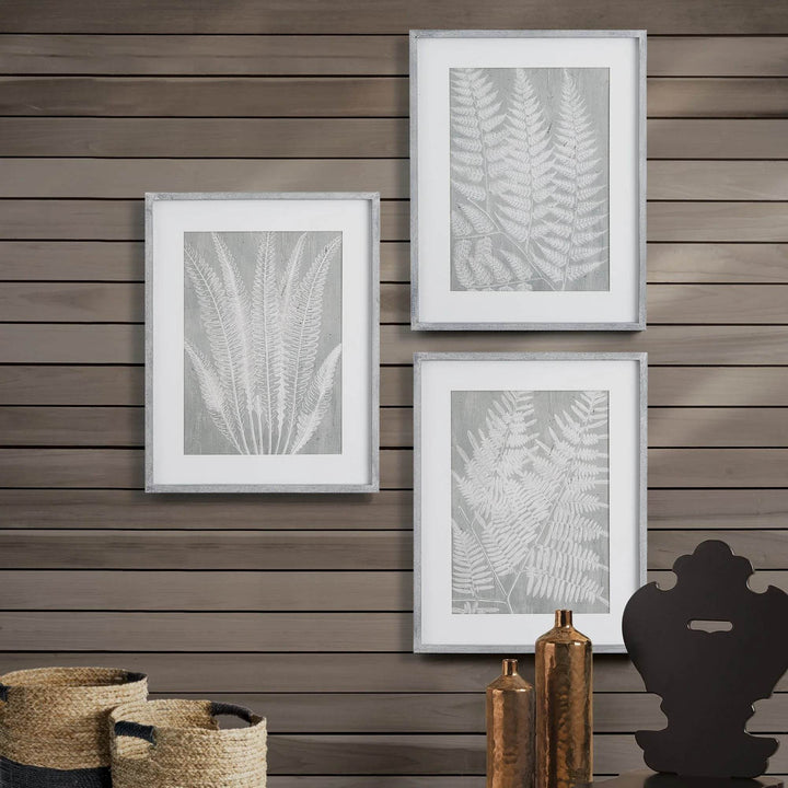 Trio of framed fern prints styled as gallery wall on gray wood paneling, perfect for transitional interiors.