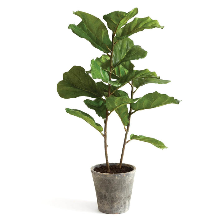 Full view of lifelike fiddle leaf fig tree in cement planter, styled in modern natural decor.