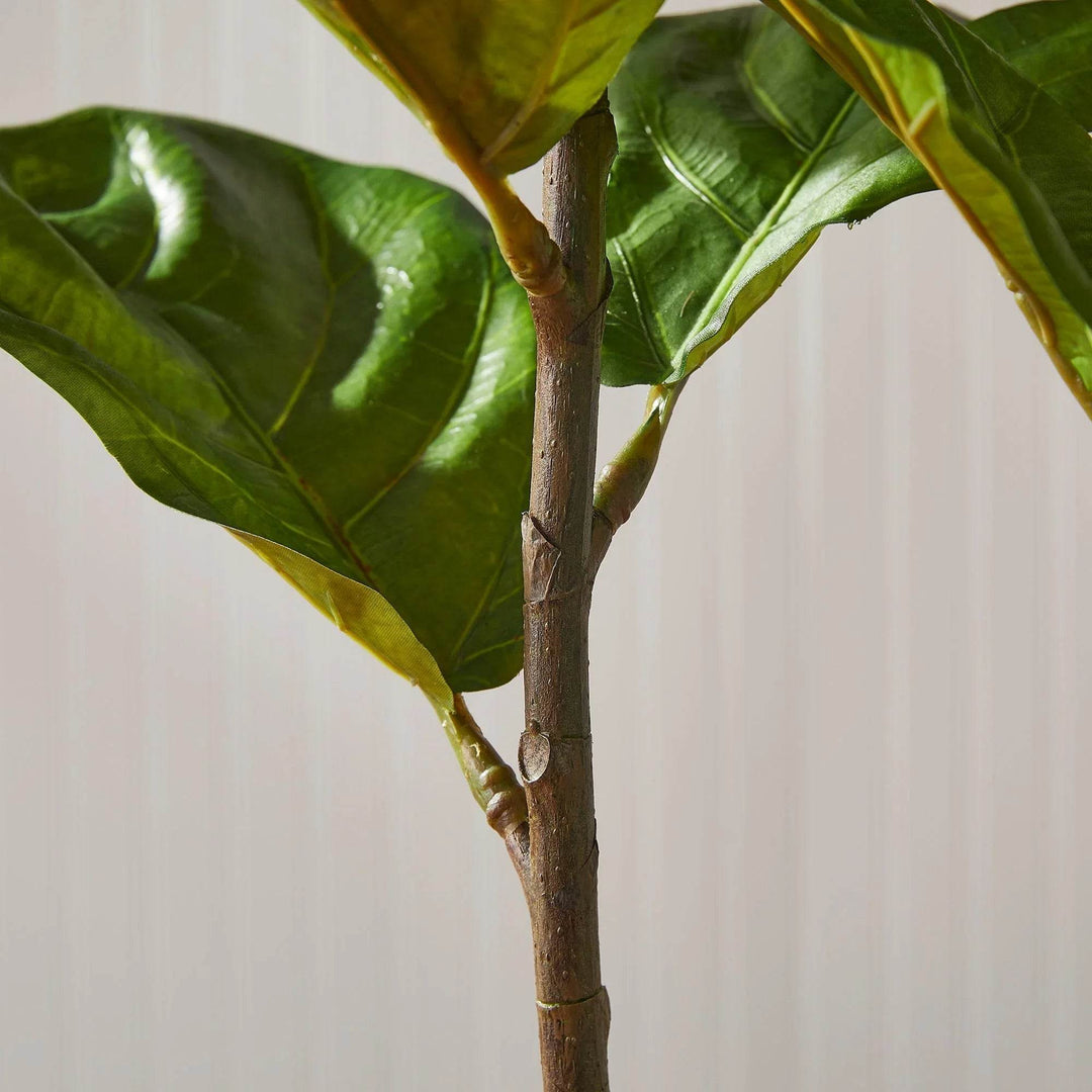 Close-up of realistic fig tree stem and branches with natural texture and detail.

