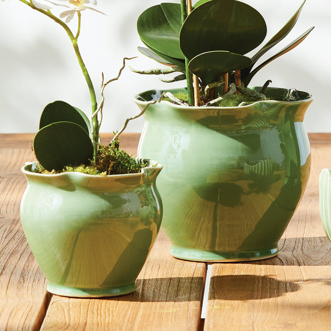 Green ceramic planter pair styled with orchid leaves in both pots, showing ruffled rims and reflective glaze. Transitional