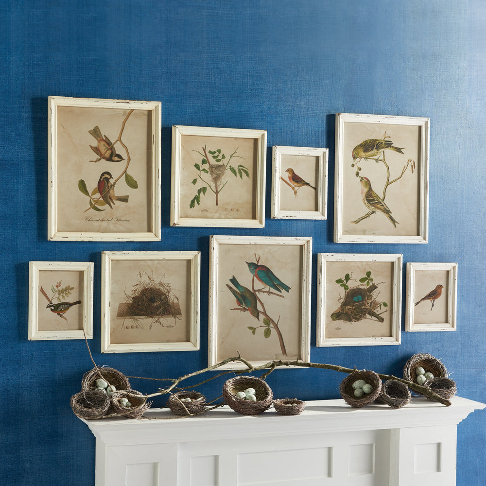 Cottagecore bird wall art set styled above a white mantel on a deep blue wall, featuring vintage nests and natural decor.