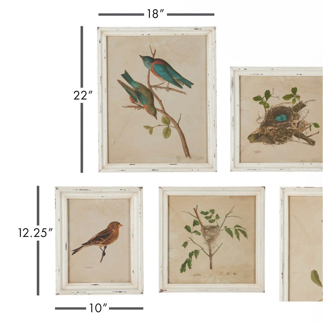 Close-up of framed bird prints showing size measurements for each piece in the nine-piece cottagecore wall art set.

