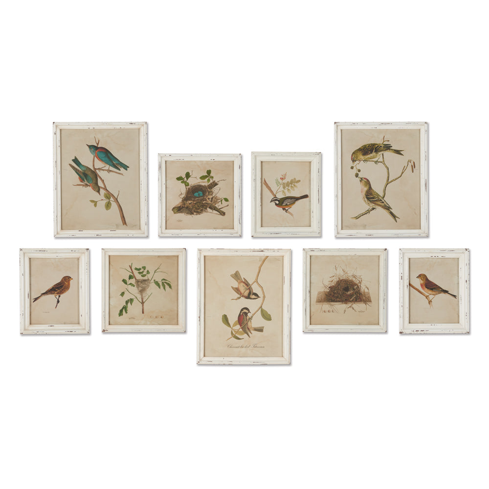 Nine-piece framed bird wall art set with cottagecore illustrations in white distressed frames, arranged against a white background.

