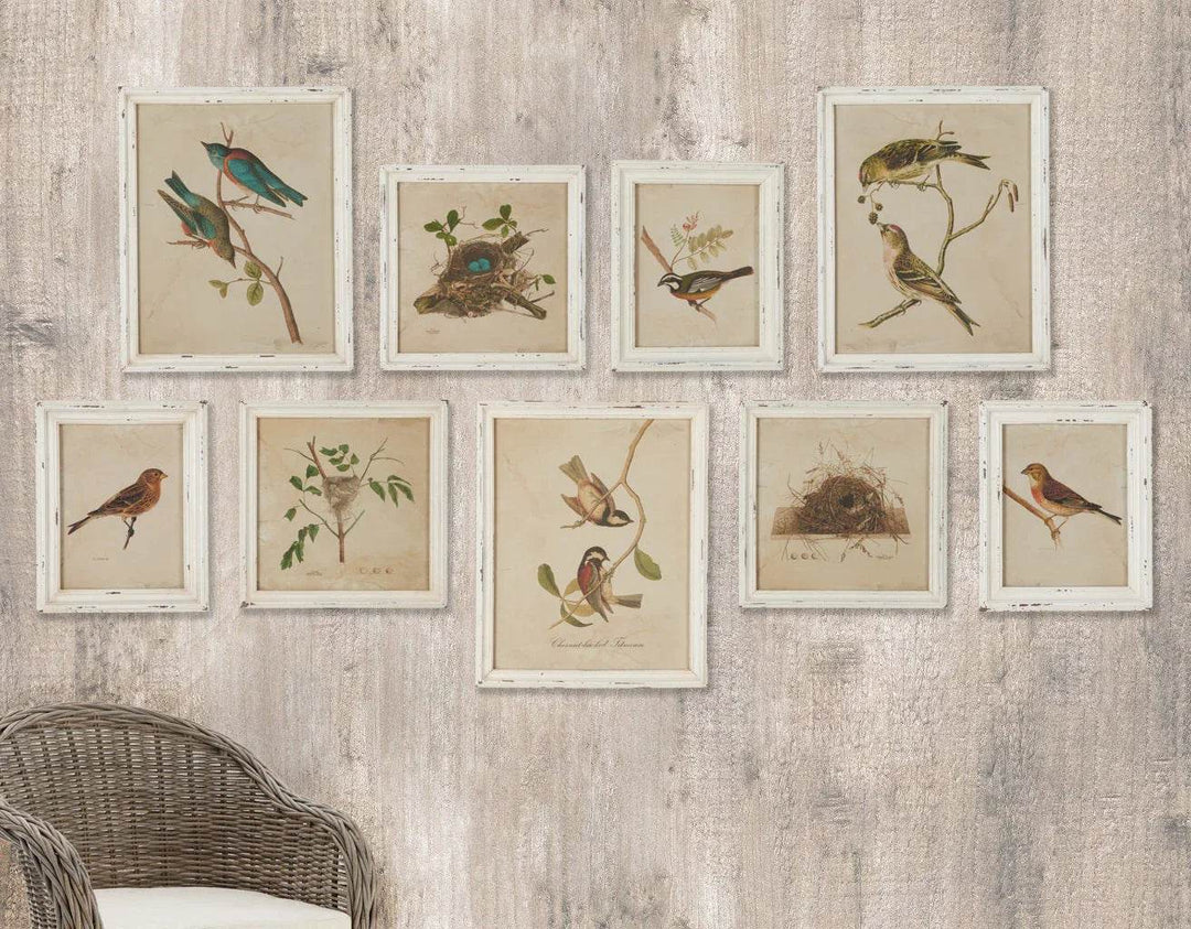 Vintage-style bird and nest gallery wall in white frames on textured cottagecore wood paneling above a rattan chair.