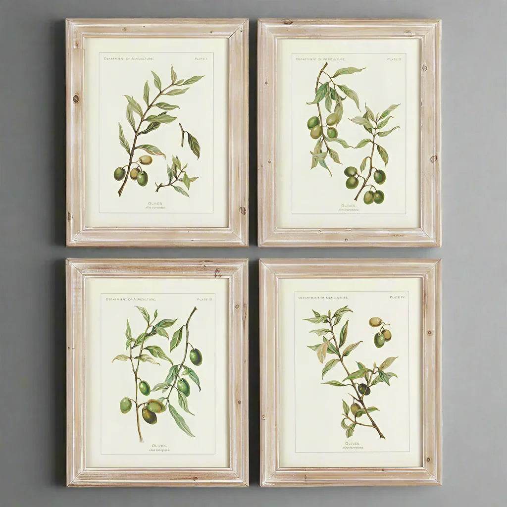 Four matching framed olive prints arranged in a square layout on a gray wall, styled for farmhouse interiors.

