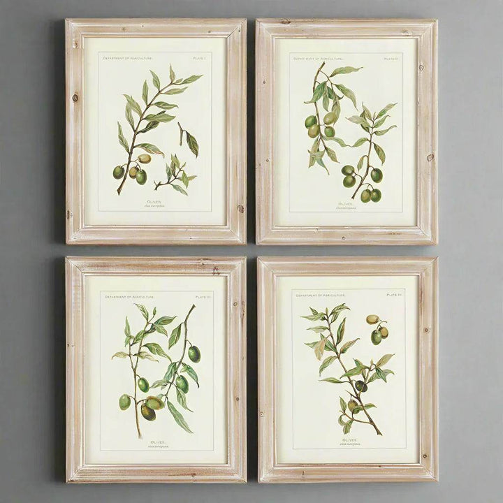 Four matching framed olive prints arranged in a square layout on a gray wall, styled for farmhouse interiors.

