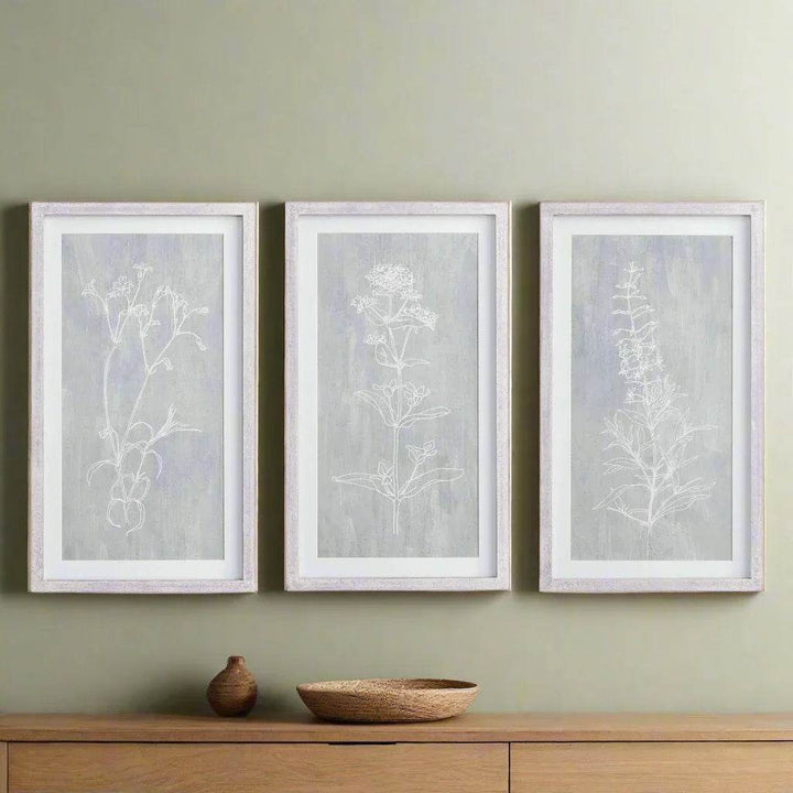Modern farmhouse gallery wall with 3 framed botanical prints in gray and white, styled above a console