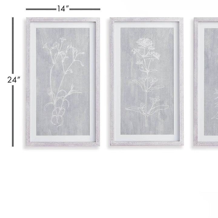 Close-up of framed botanical wall art set of 3 in soft gray tones with white pine frame, modern farmhouse decor