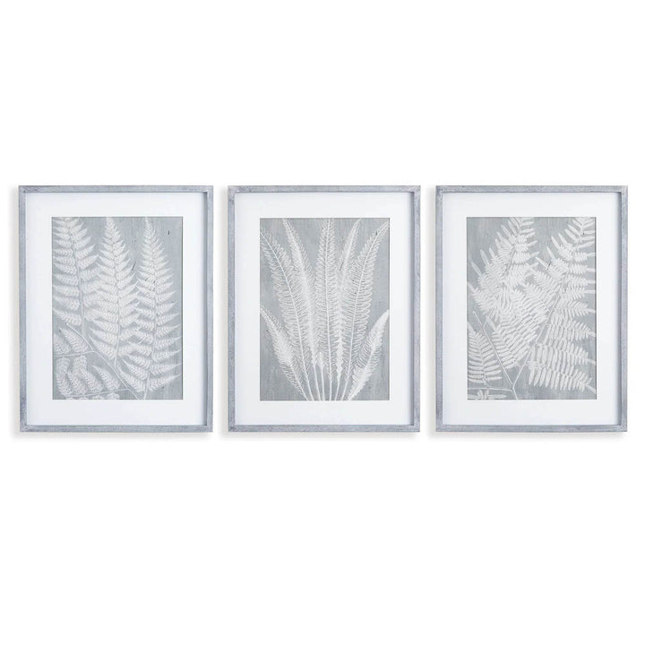 Set of three framed fern prints in soft gray tones, ideal for modern natural or traditional wall decor.