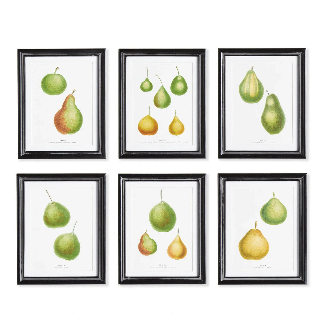 Set of six framed pear botanical prints with white mats and black frames arranged in two rows – Vintage Botanical.