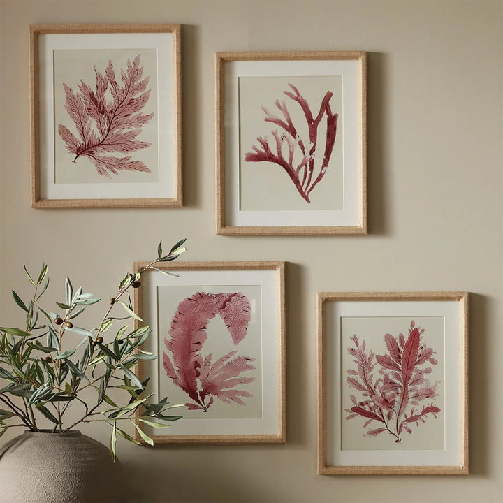 Framed coastal wall art set of four pink seaweed prints under glass with ivory mats and linen-wrapped frames styled on neutral wall – Coastal