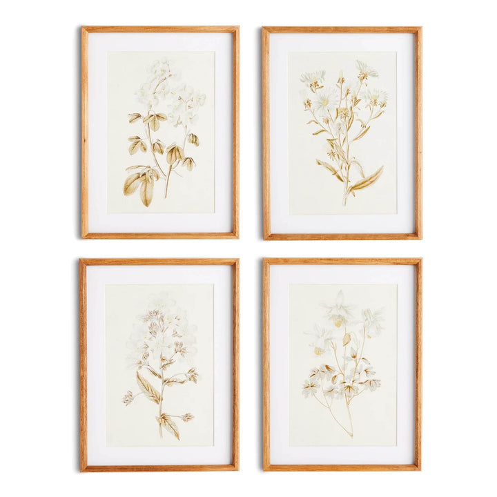 Set of four framed vintage botanical prints with natural wood frames in vertical layout, neutral floral illustrations.
