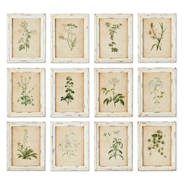 Vintage cottagecore wall art set featuring 12 framed wildflower botanical prints in cream distressed frames.


