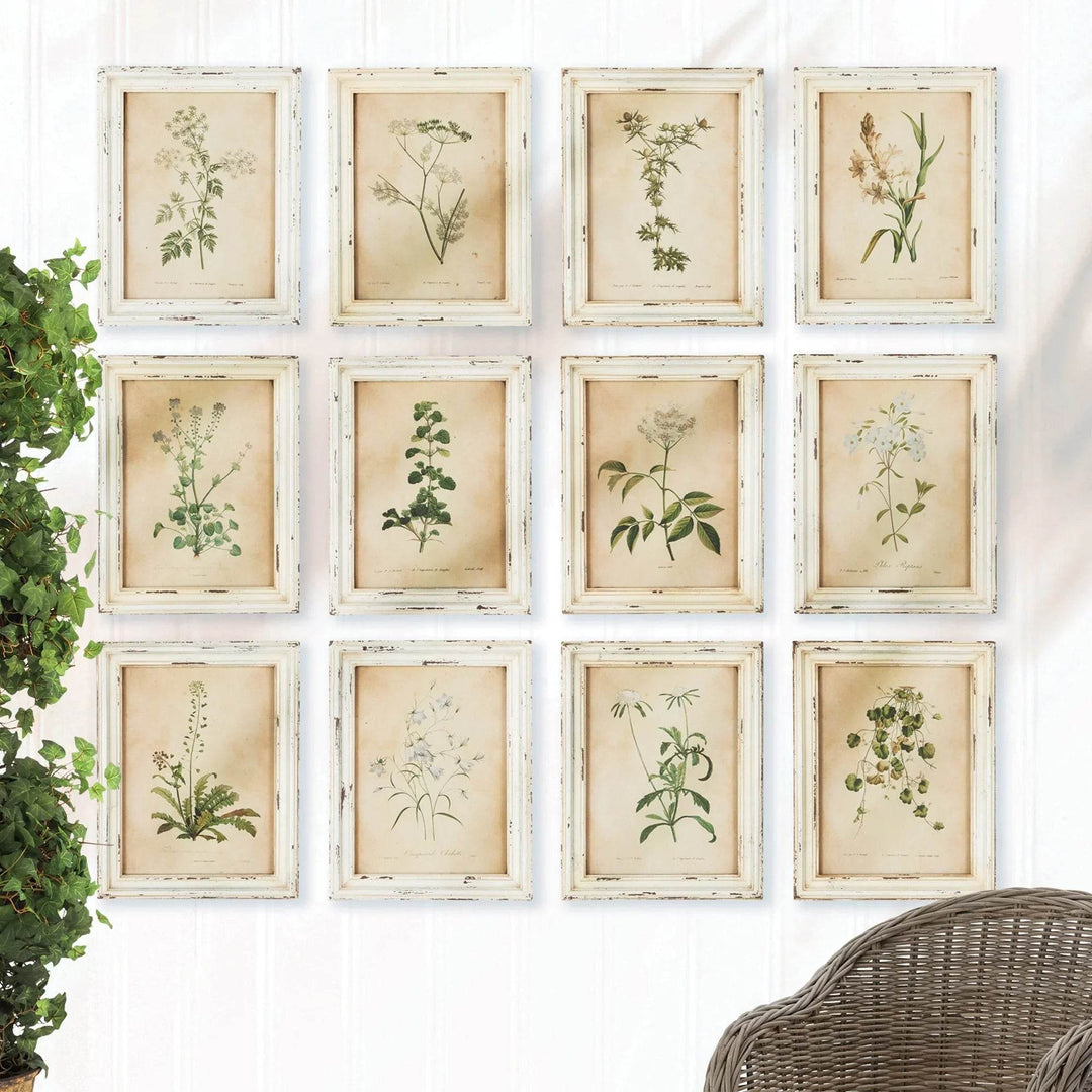 Rustic vintage cottagecore decor with framed wildflower botanical prints styled on white wall paneling.