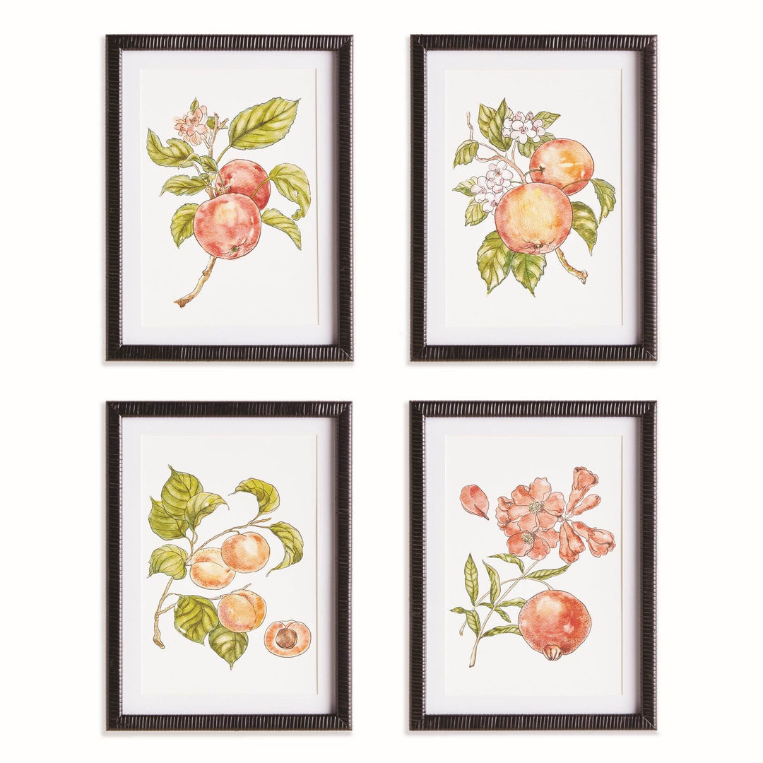 Set of four fruit botanical prints with white mats and black rattan-wrapped frames, shown together as a complete wall art collection.