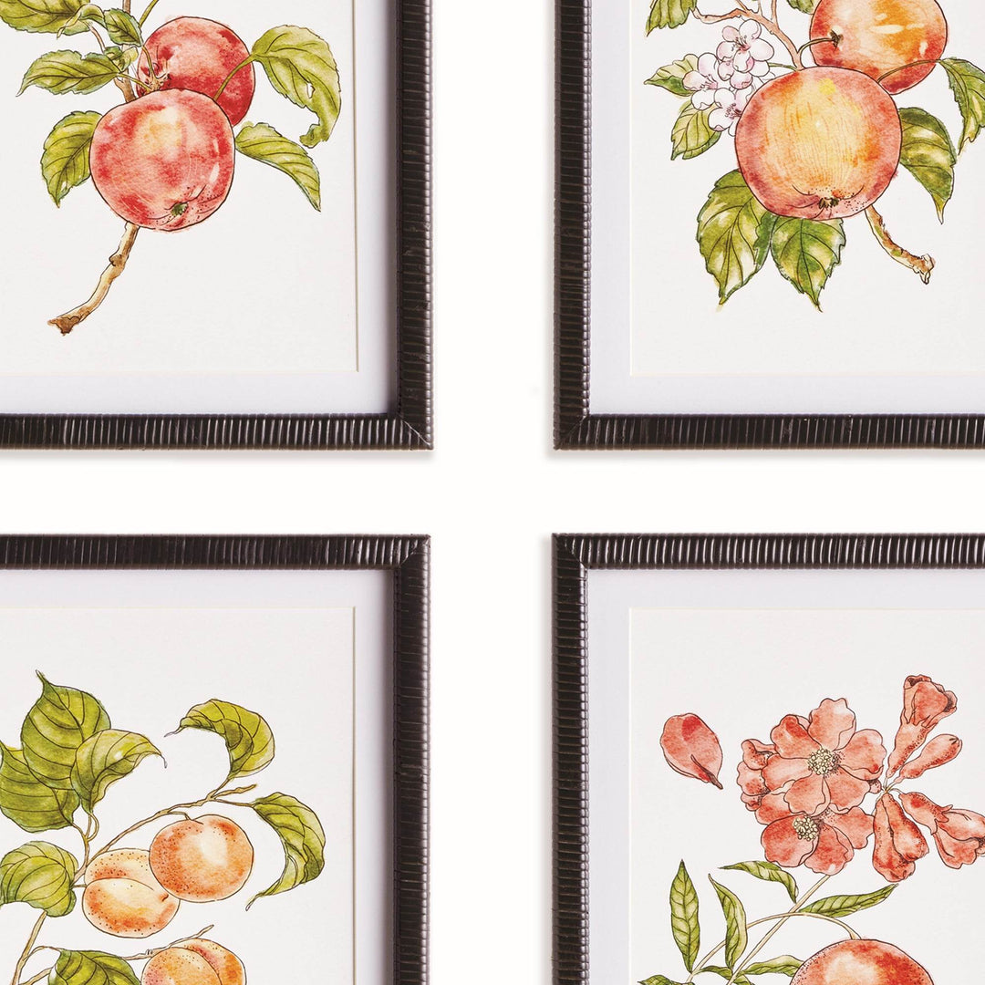 Detailed view of framed fruit botanical prints in a four-piece set, highlighting illustrations of peaches, blossoms, and pomegranate.