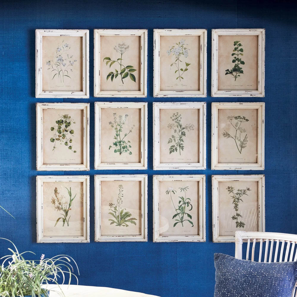 Vintage cottagecore gallery wall with wildflower prints styled on blue background and natural accents.