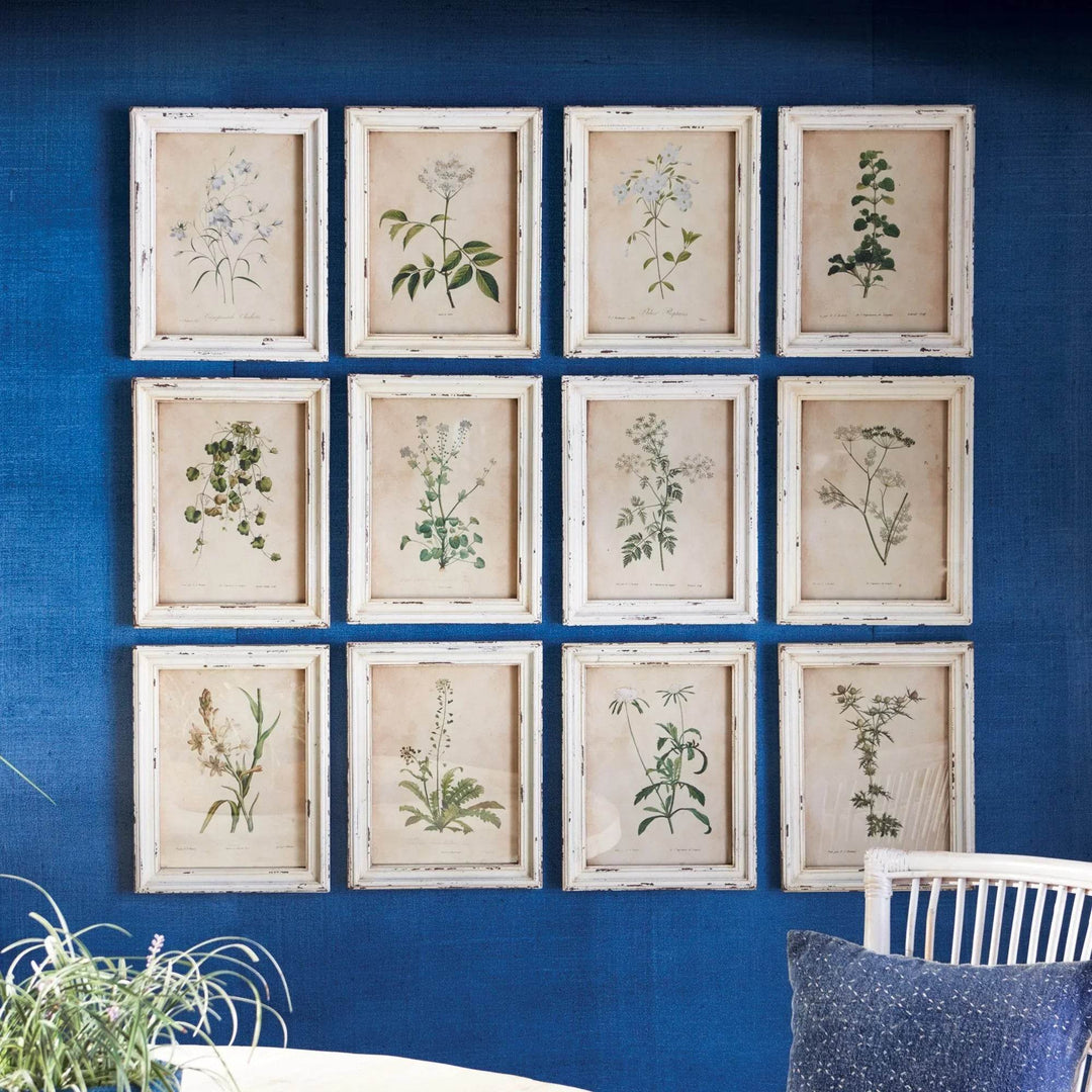Vintage cottagecore gallery wall with wildflower prints styled on blue background and natural accents.