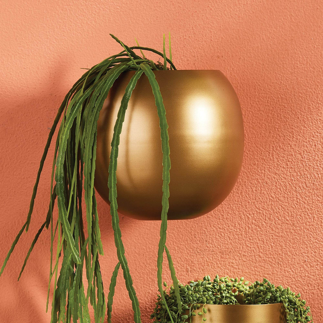 Gold wall-mounted cachepot planter with cascading greenery styled on a coral wall – Modern Organic.

