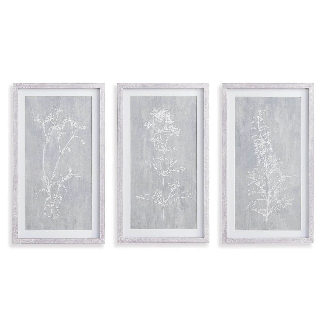 Trio of vertical framed botanical prints with white sketches and gray background, clean modern farmhouse look