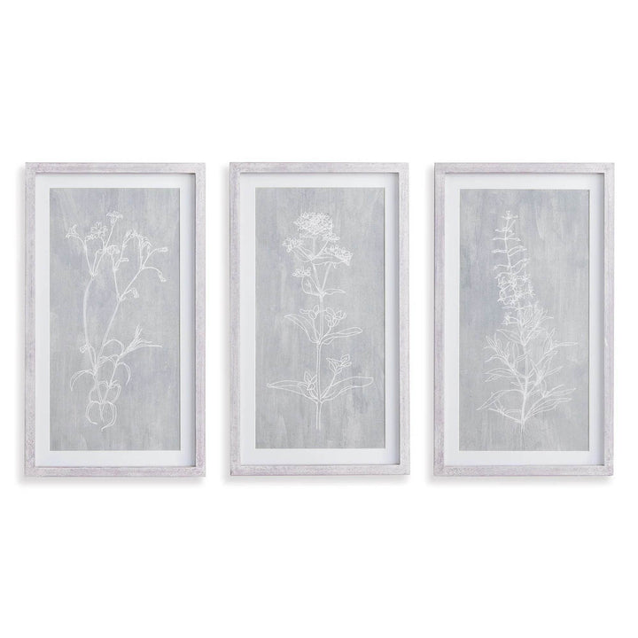 Trio of vertical framed botanical prints with white sketches and gray background, clean modern farmhouse look