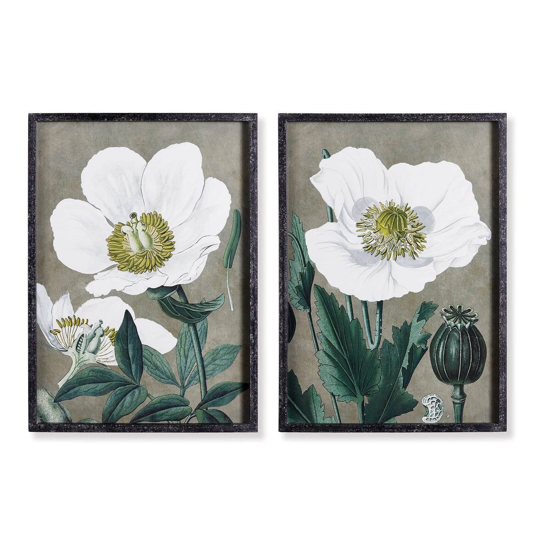 Framed vintage botanical wall art prints featuring white poppy flowers in a neutral-toned set of two
