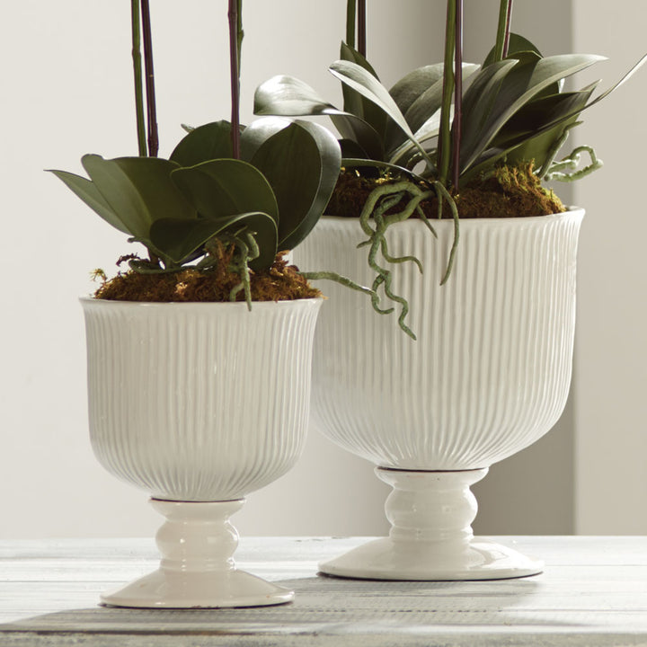 White ribbed ceramic footed cachepots in graduated sizes arranged with orchid foliage on an indoor tabletop, Traditional
