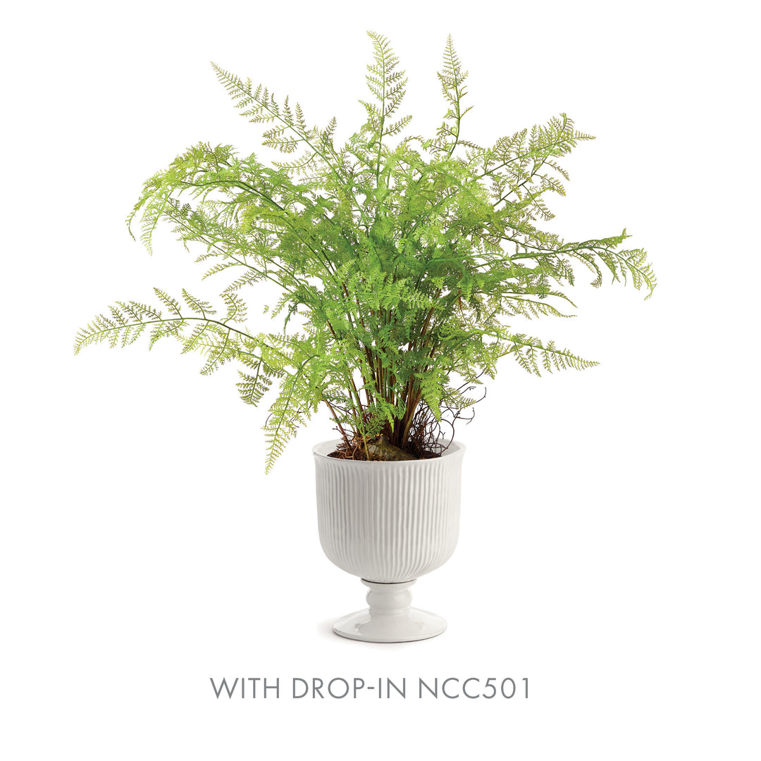 Large white ribbed ceramic footed cachepot paired with a soft fern drop-in, showing spreading fine green fronds, Traditional