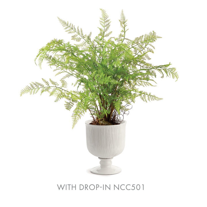 Large white ribbed ceramic footed cachepot paired with a soft fern drop-in, showing spreading fine green fronds, Traditional
