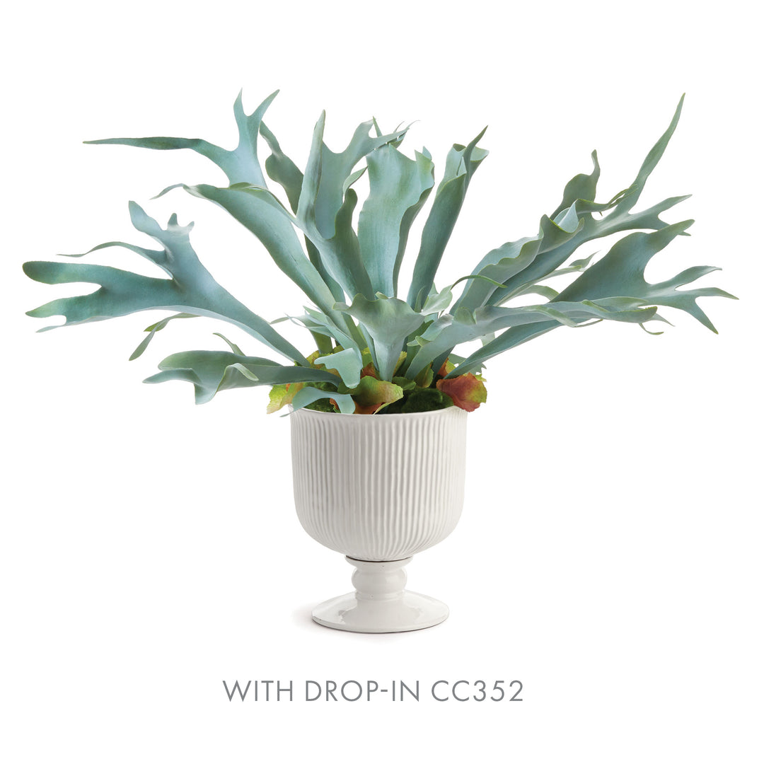 Large white ribbed ceramic footed cachepot paired with a staghorn fern drop-in, showing broad pale green leaves, Traditional