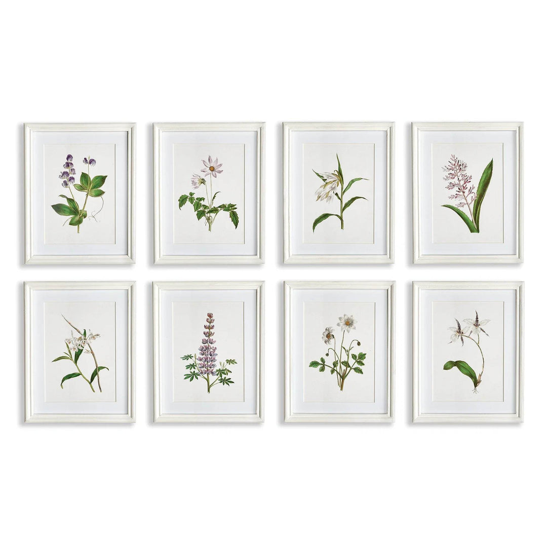 Eight lavender botanical prints in white frames, part of a classic cottage wall art set