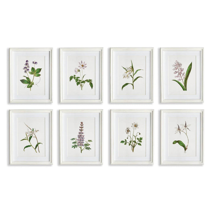 Eight lavender botanical prints in white frames, part of a classic cottage wall art set