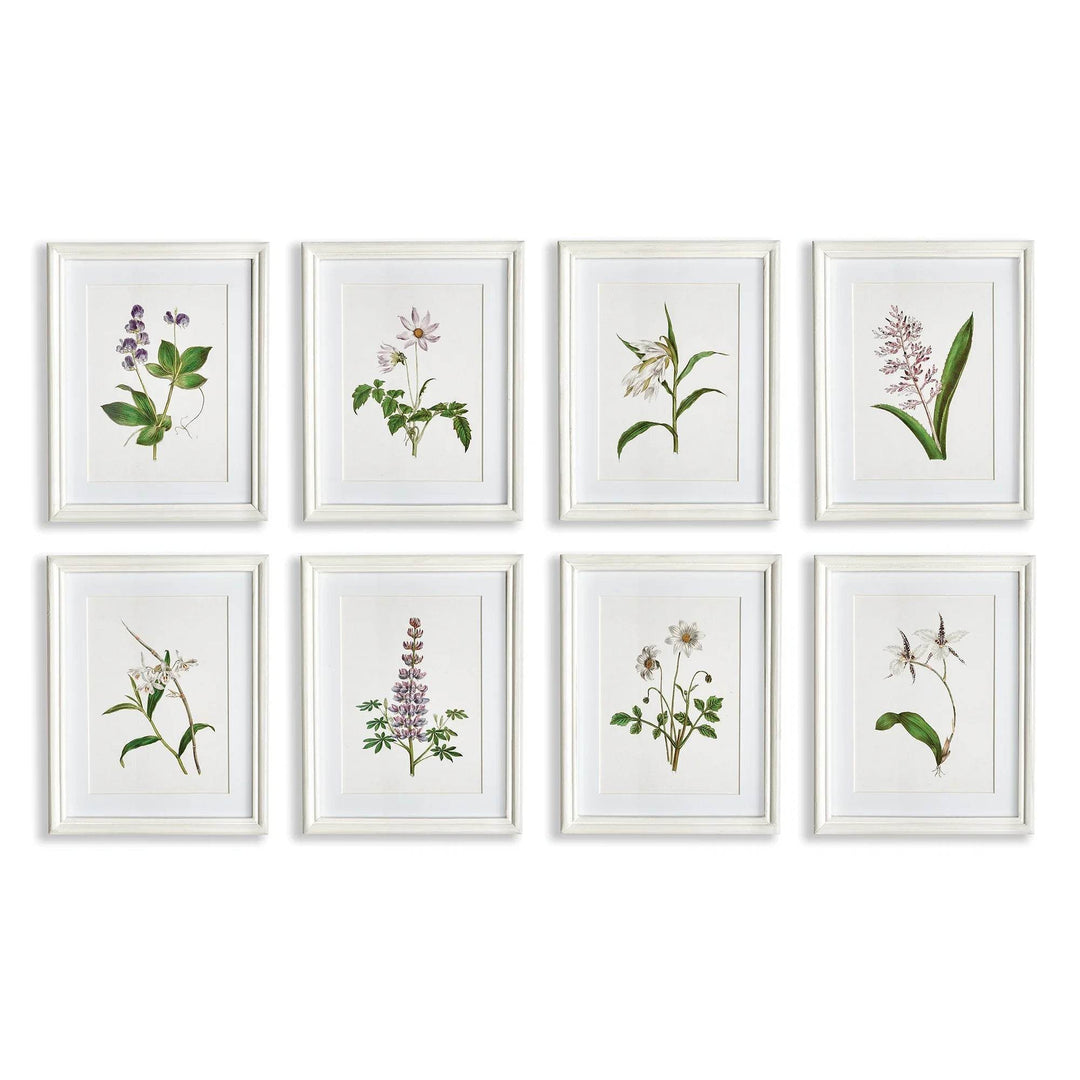 Eight lavender botanical prints in white frames, part of a classic cottage wall art set